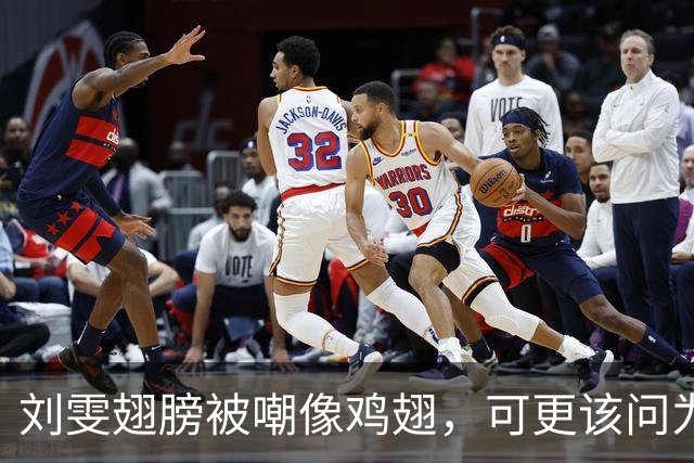 刘雯翅膀被嘲像鸡翅，可更该问为何十年仅两副？